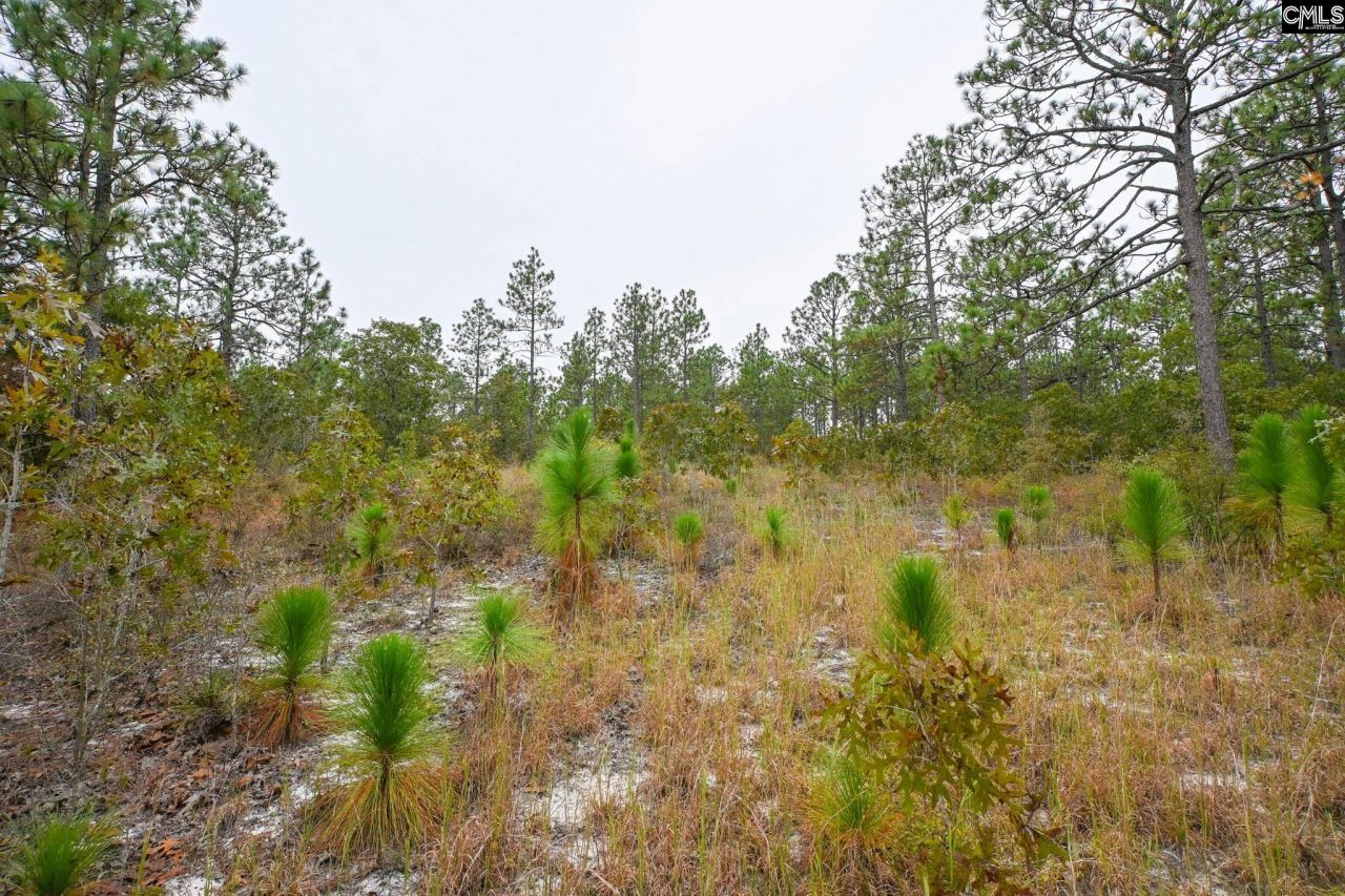 113 Longview Street Photo 4