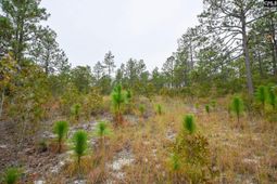 113 Longview Street photo 4