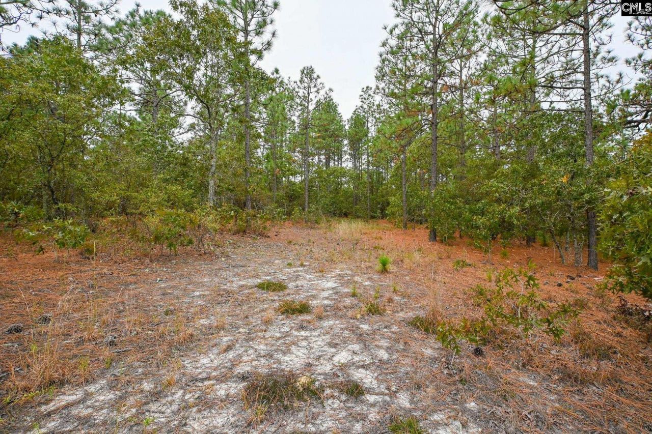 113 Longview Street Photo 6