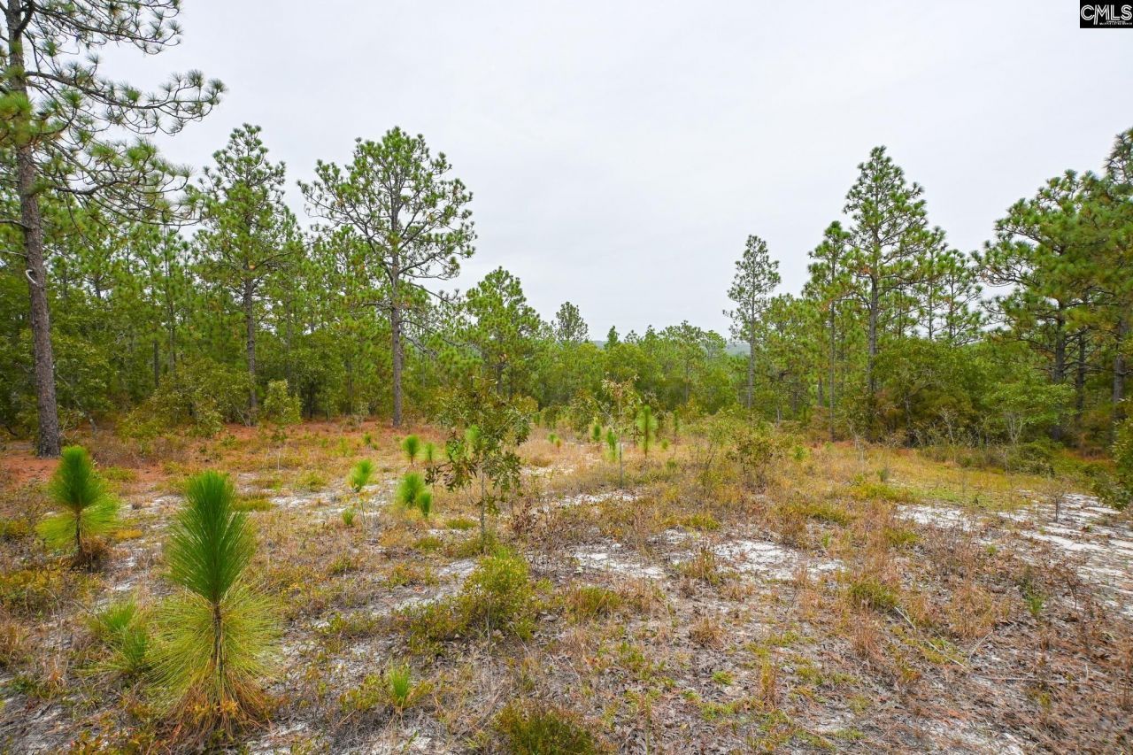 113 Longview Street Photo 7