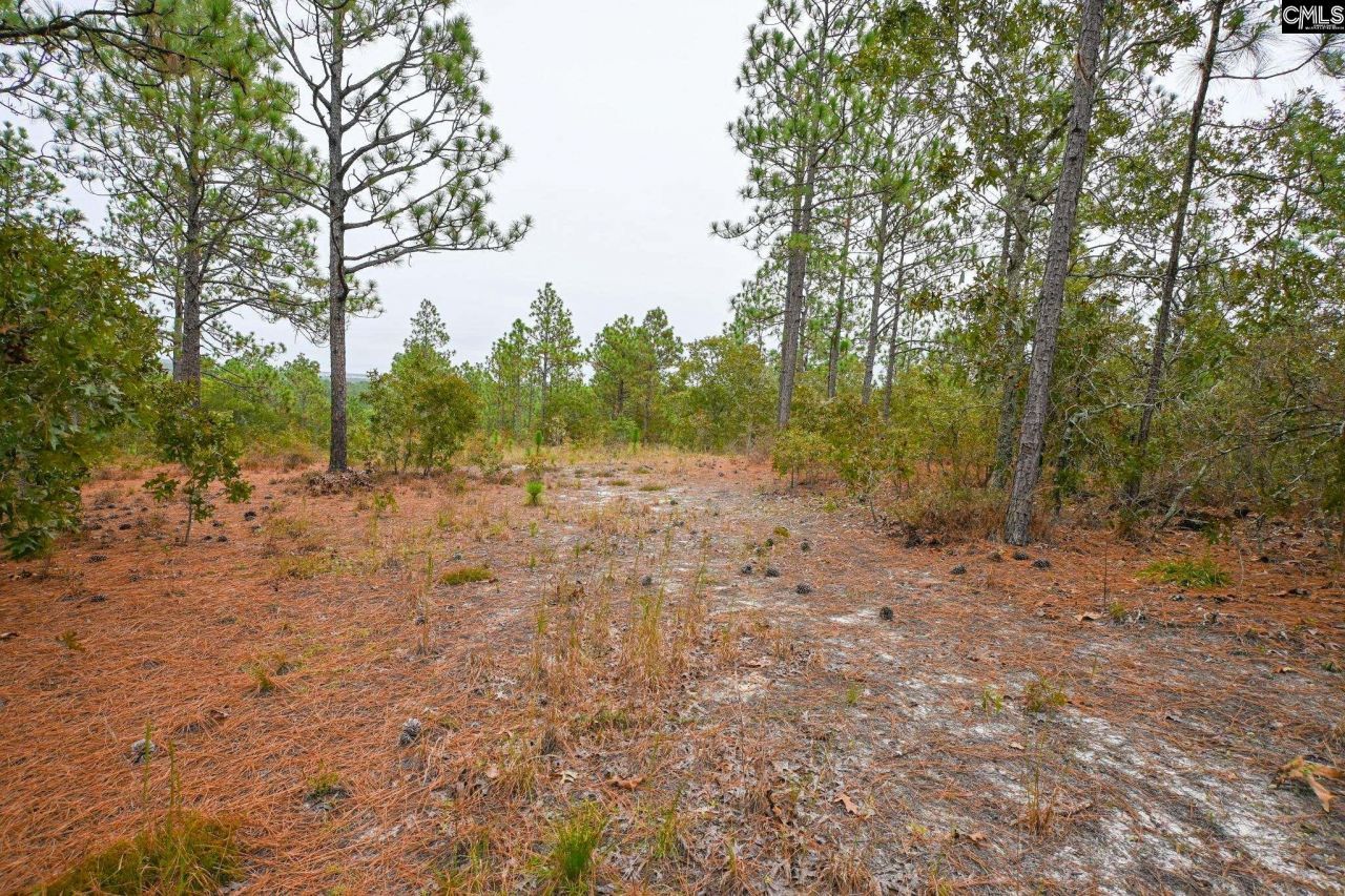 113 Longview Street Photo 8