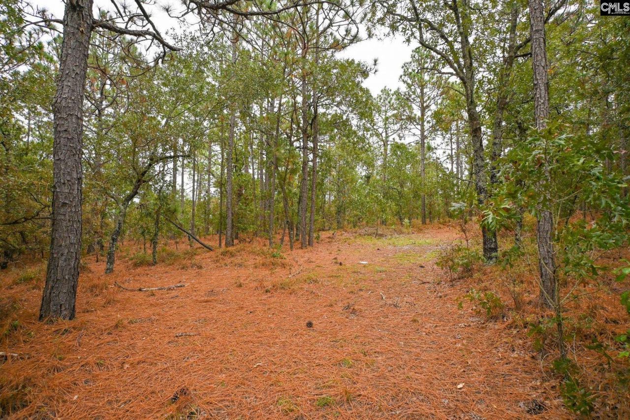 113 Longview Street Photo 9