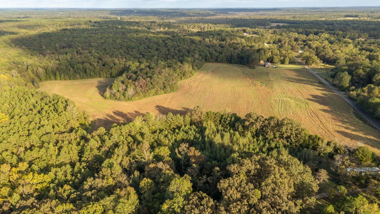 7705 Pea Vine Rd, Middleton, TN 38052 Main Photo