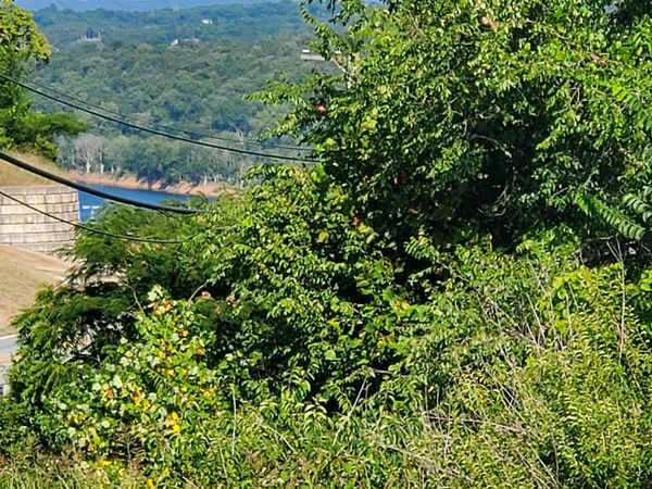 16500 State Hwy 160 Highway , Forsyth, MO 65653