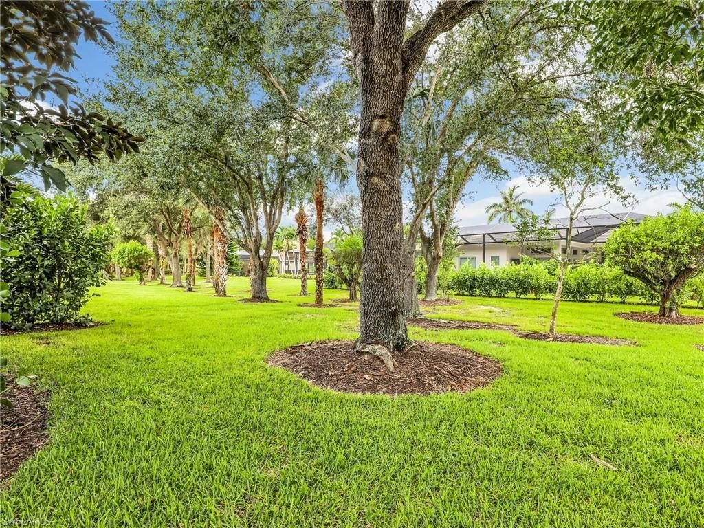 19688 Casa Verde Way, Estero, FL 33967 Photo