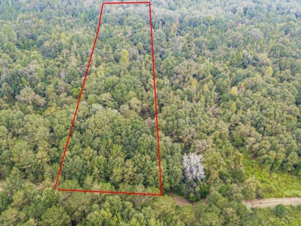 0 Willow Creek Drive, Oglethorpe, GA 31068