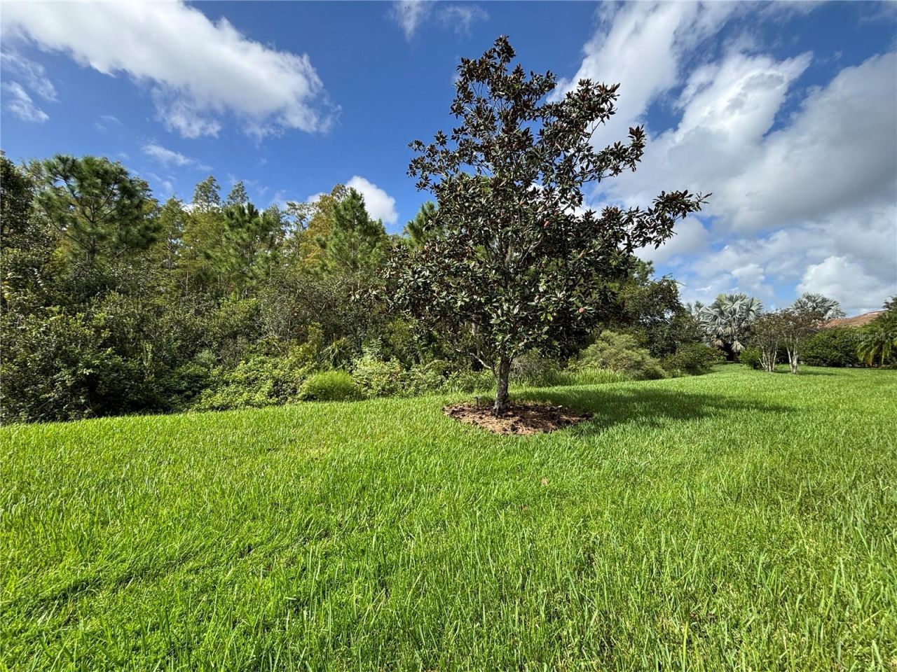 915 San Raphael Street, Poinciana, FL 34759 Photo