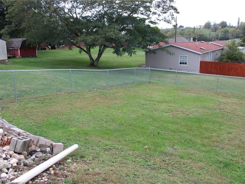 56 3rd Street, Rayland, OH 43943 Photo 10