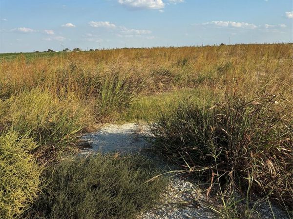 305 County Rd 134, Burlington, TX 76519