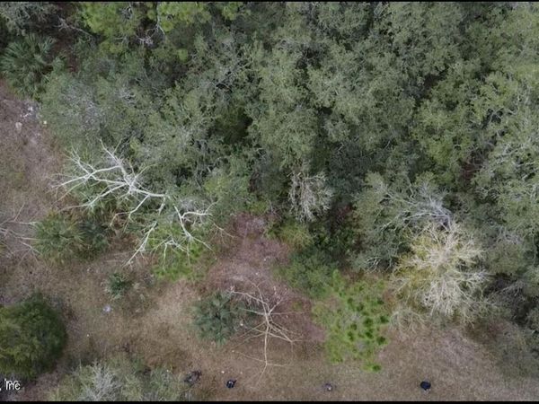 133 PIONEER Trail, Palatka, FL 32177