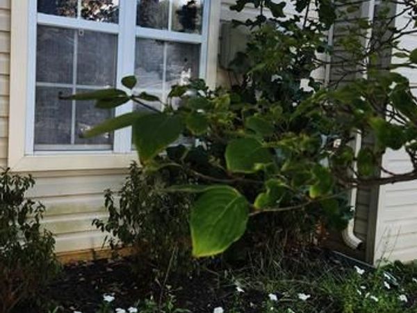 4108 BROWN BARK CIRCLE, RANDALLSTOWN, MD 21133