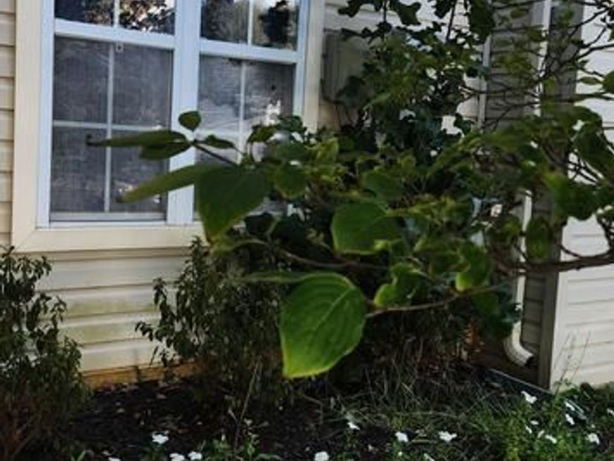 4108 Brown Bark Circle, Randallstown, MD 21133 Main Photo