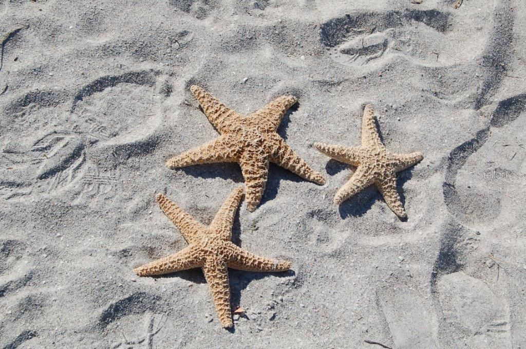 435 L Ambiance Drive, Unit L807, Longboat Key, FL 34228 Photo