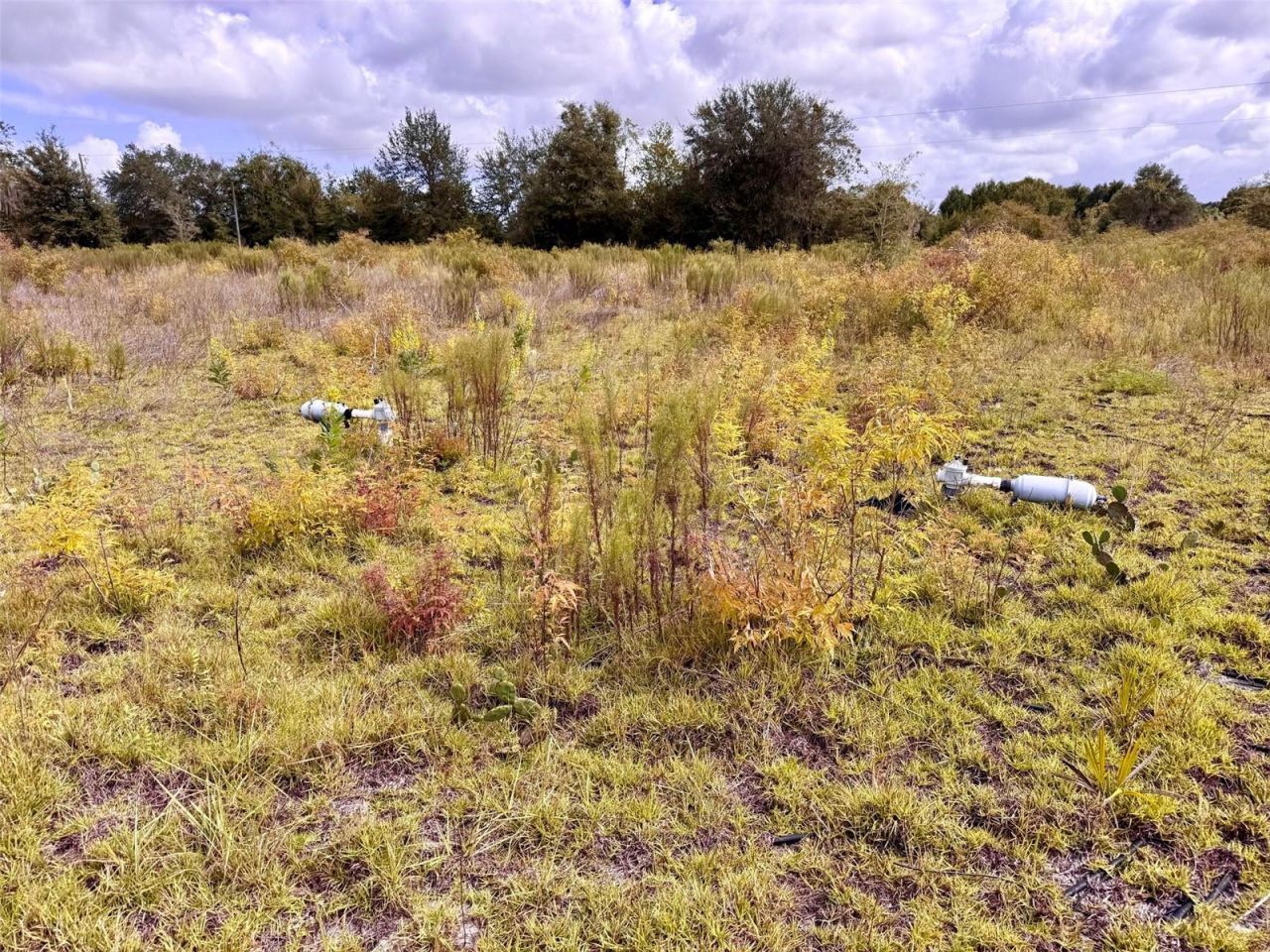 14385 SW Highway 484, Dunnellon, FL 34432 Photo