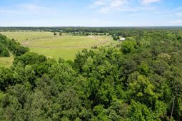 377 Sweet Street photo 4