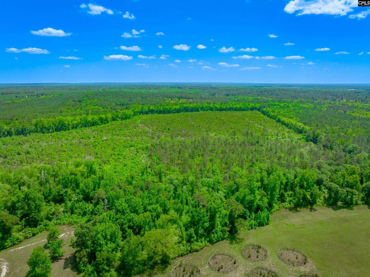 377 Sweet Street Photo 14