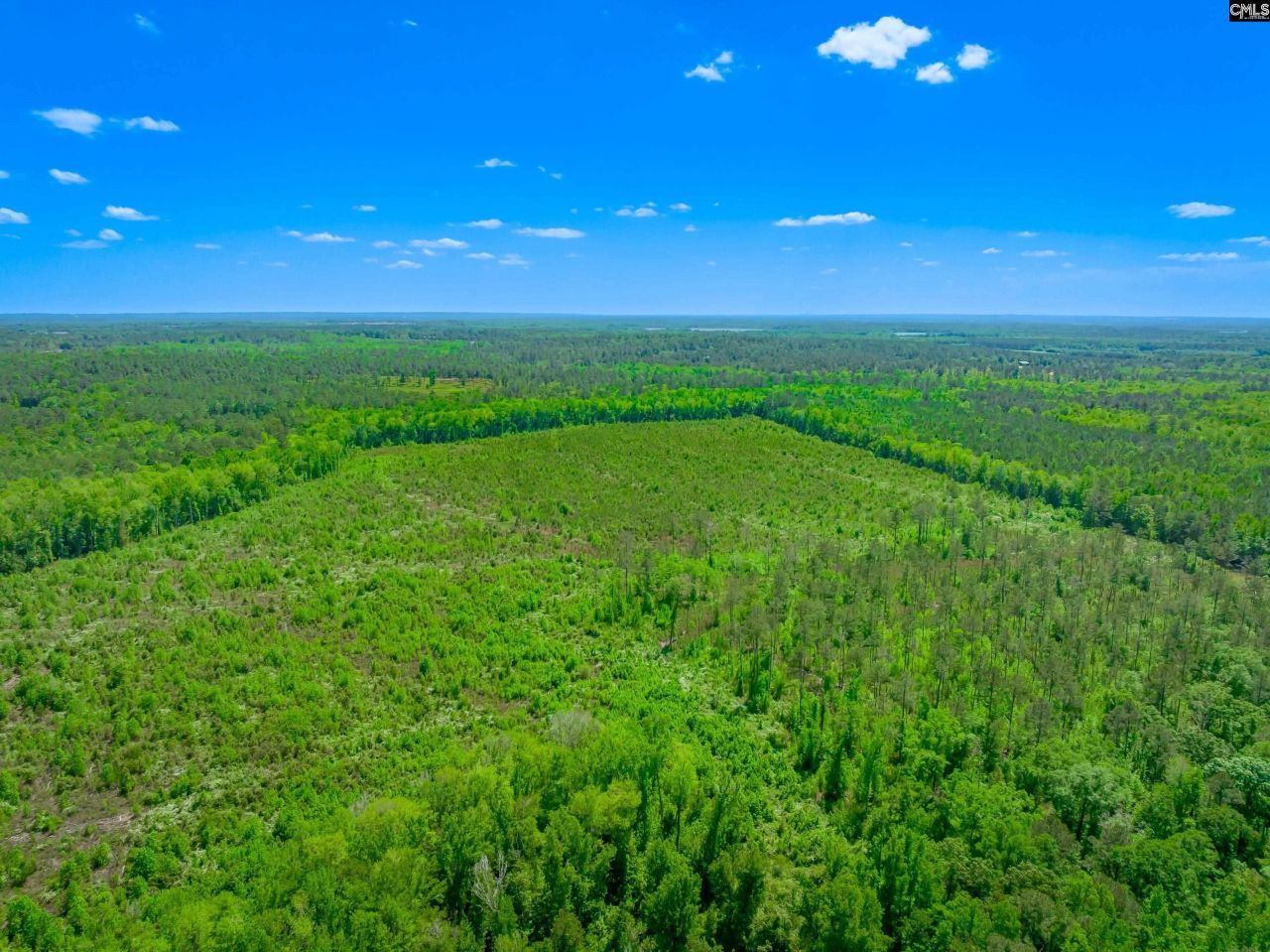 377 Sweet Street Photo 15