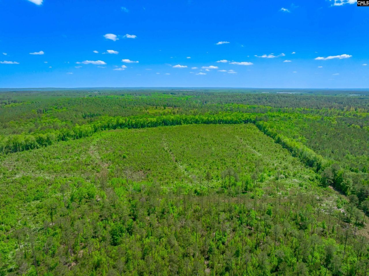 377 Sweet Street Photo 16