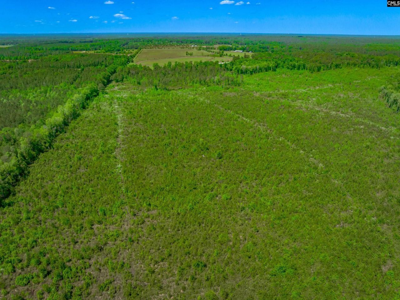 377 Sweet Street Photo 17