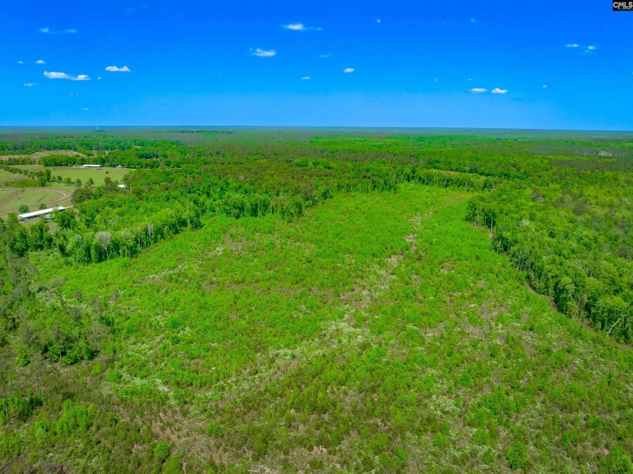 377 Sweet Street Photo 18