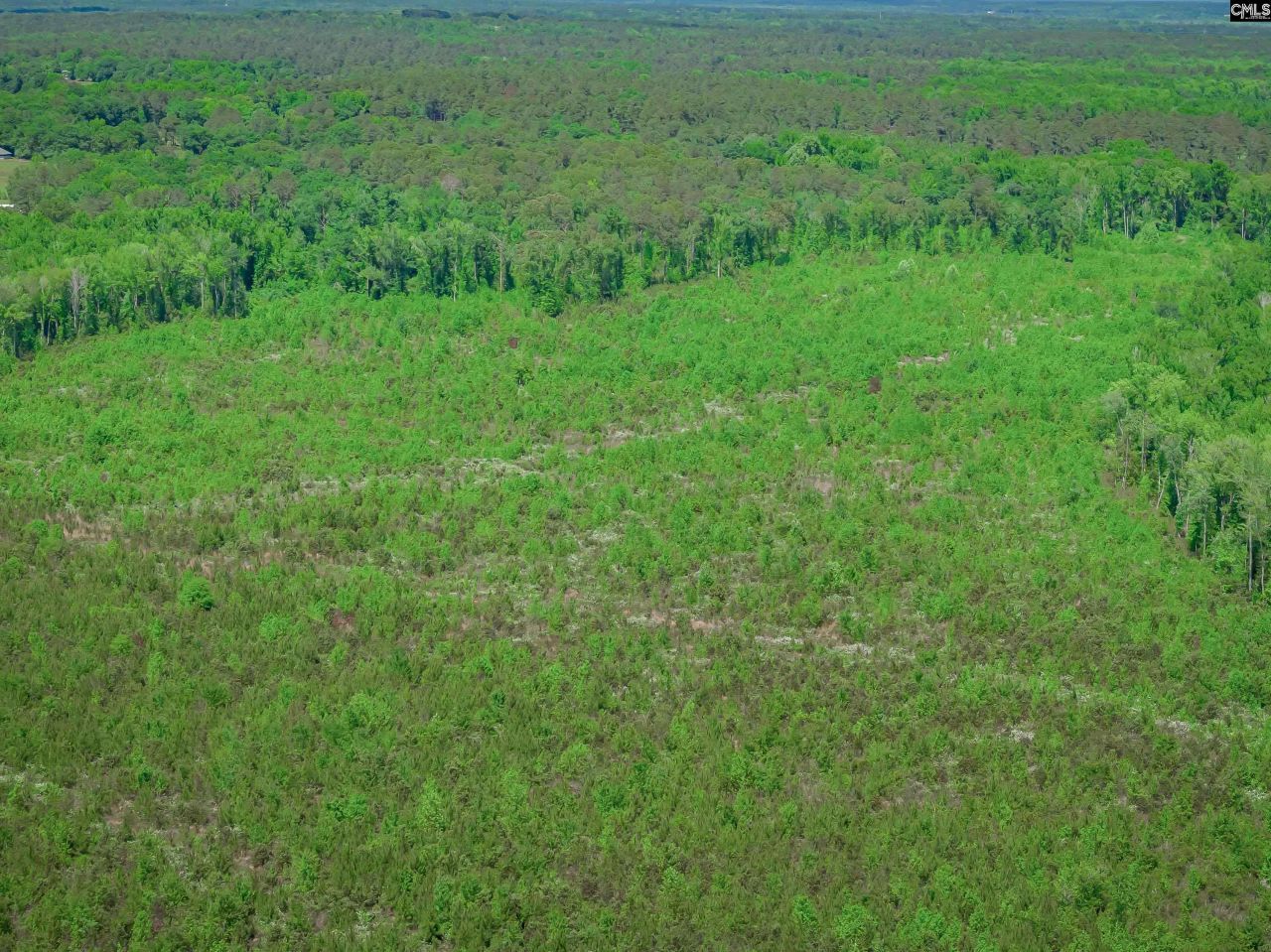 377 Sweet Street Photo 19