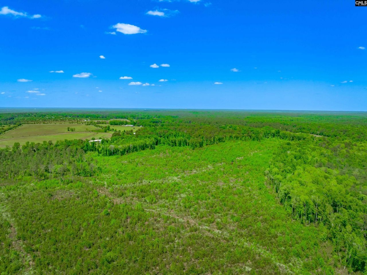 377 Sweet Street Photo 20