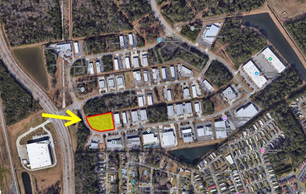 1471 Dividend Loop Photo 4