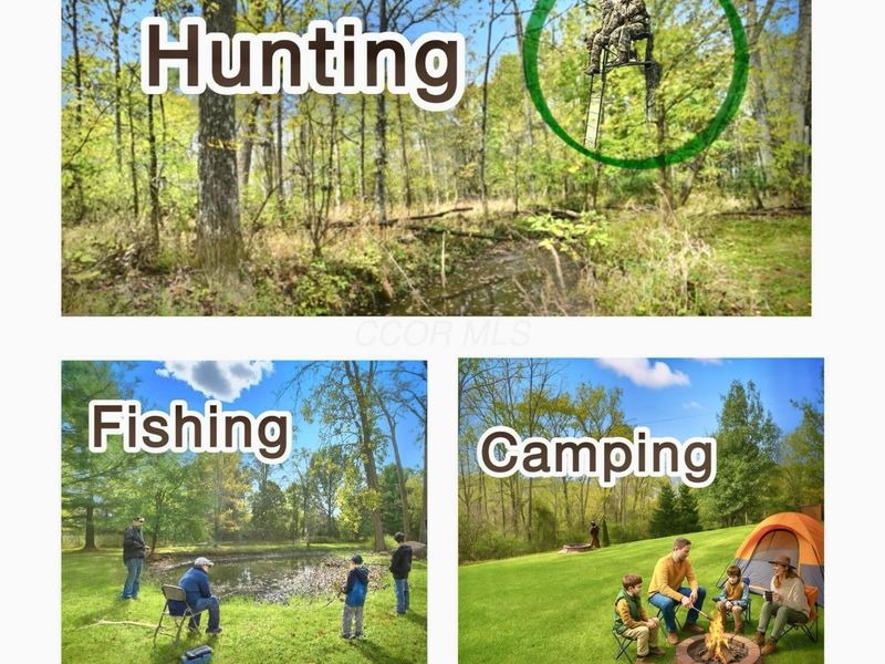 5586 Taylor Road, Marysville, OH 43040 Photo 4