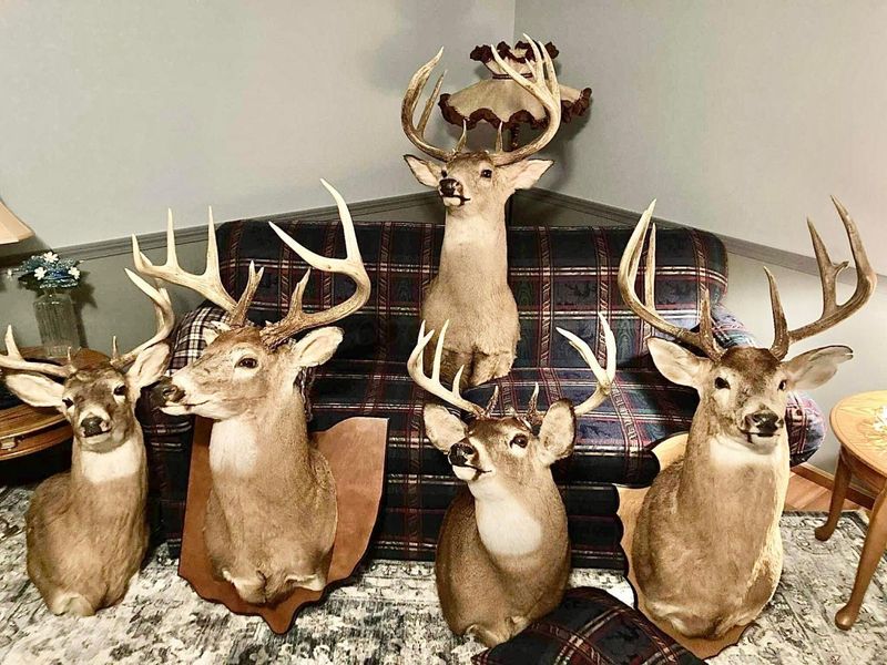 5586 Taylor Road, Marysville, OH 43040 Photo 62