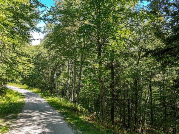 1-61 Hawk Spur Road, Unit 1-61, Plymouth, VT 05056