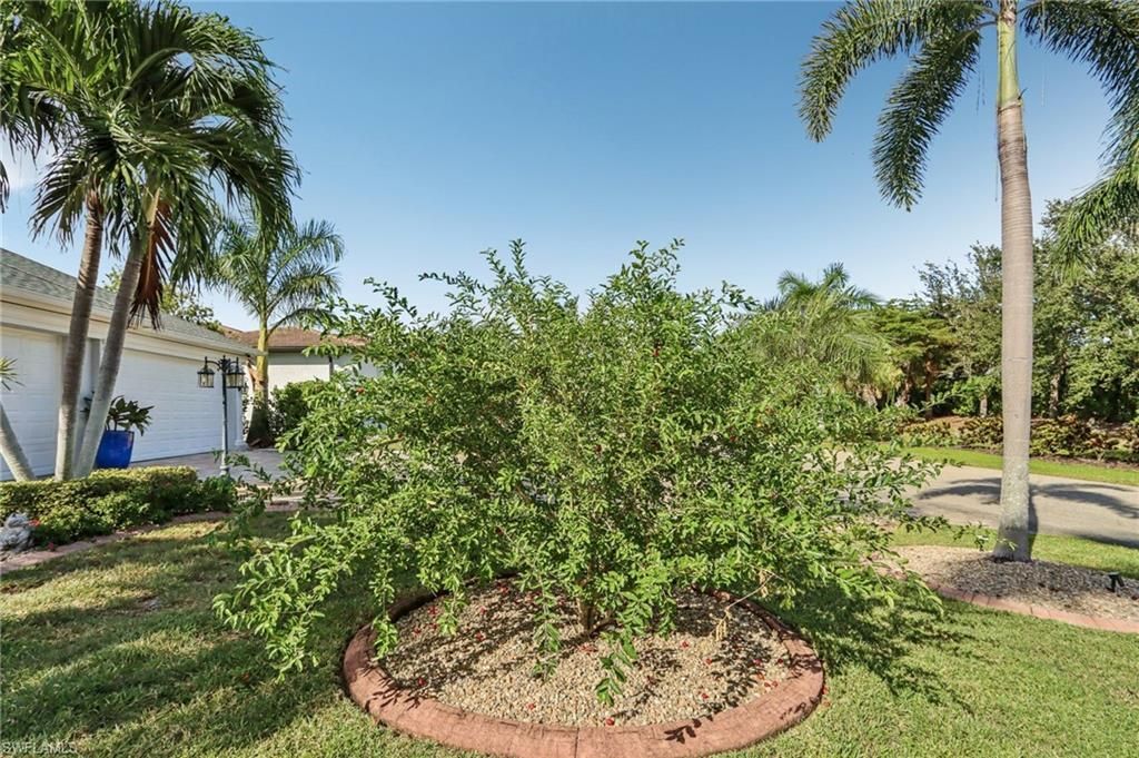 11558 Royal Tee Cir, Cape Coral, FL 33991 Photo