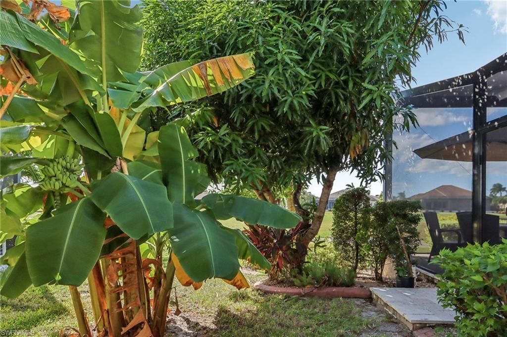 11558 Royal Tee Cir, Cape Coral, FL 33991 Photo