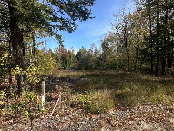 Lot 4 Hancock Pond Road, Sebago, ME 04029
