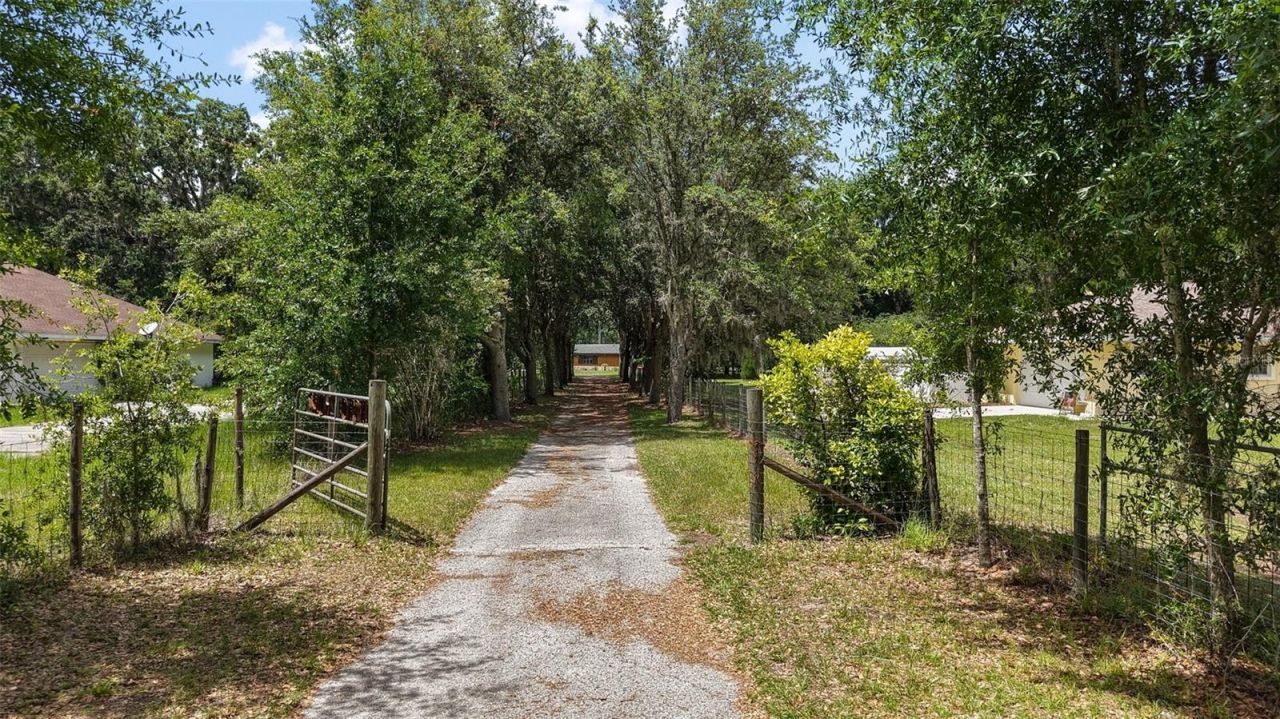 672 E Belt Avenue, Bushnell, FL 33513 Photo
