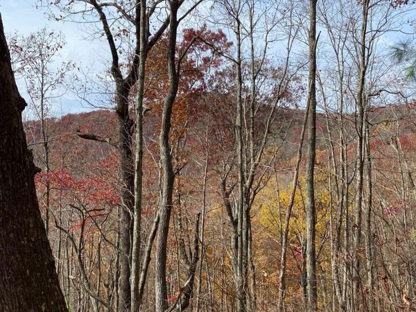 L334 335 Brushy Top Drive, Unit 334 335, Ellijay, GA 30540