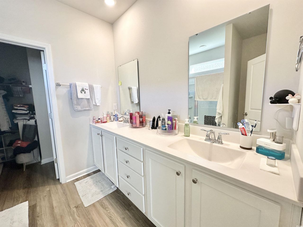 515 Meadowgrass Ct.  Photo 10