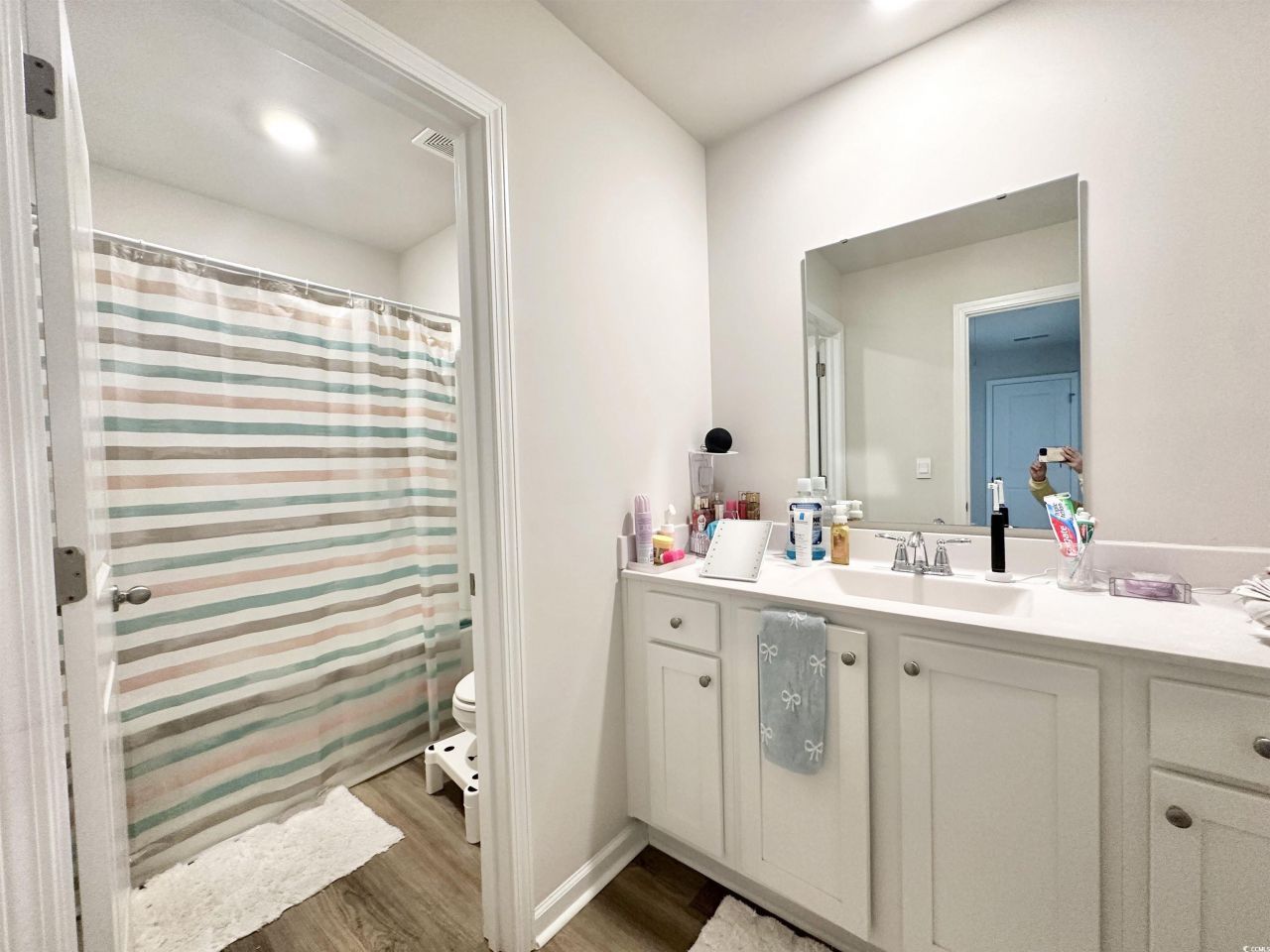 515 Meadowgrass Ct.  Photo 16