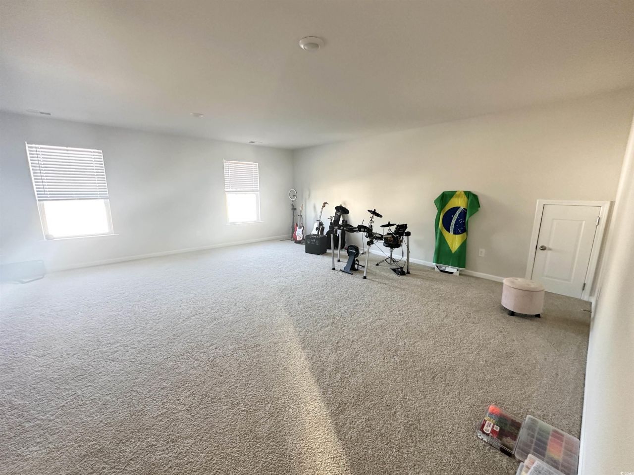 515 Meadowgrass Ct.  Photo 17