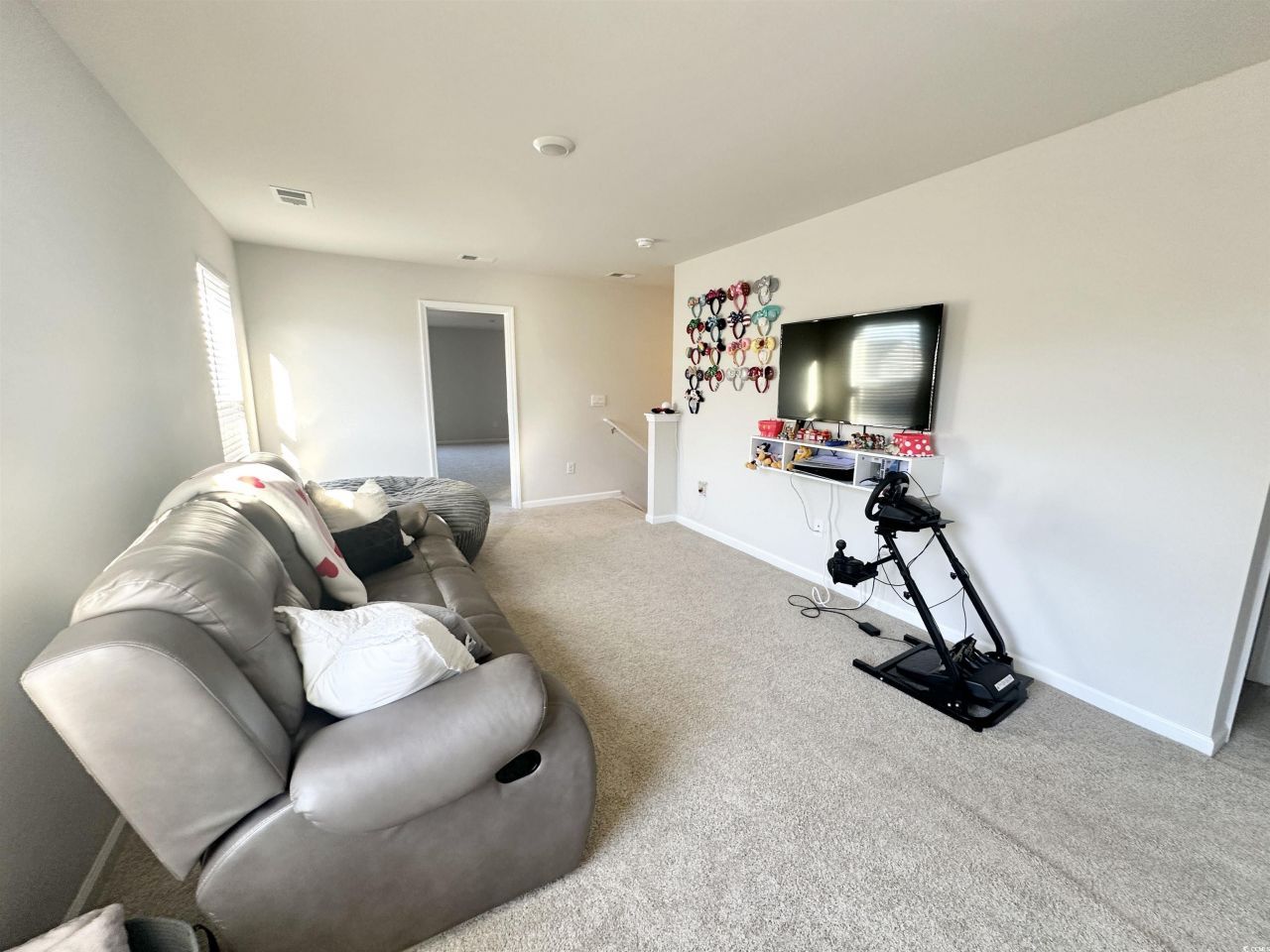 515 Meadowgrass Ct.  Photo 19