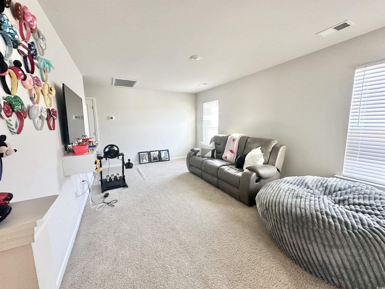 515 Meadowgrass Ct.  Photo 20