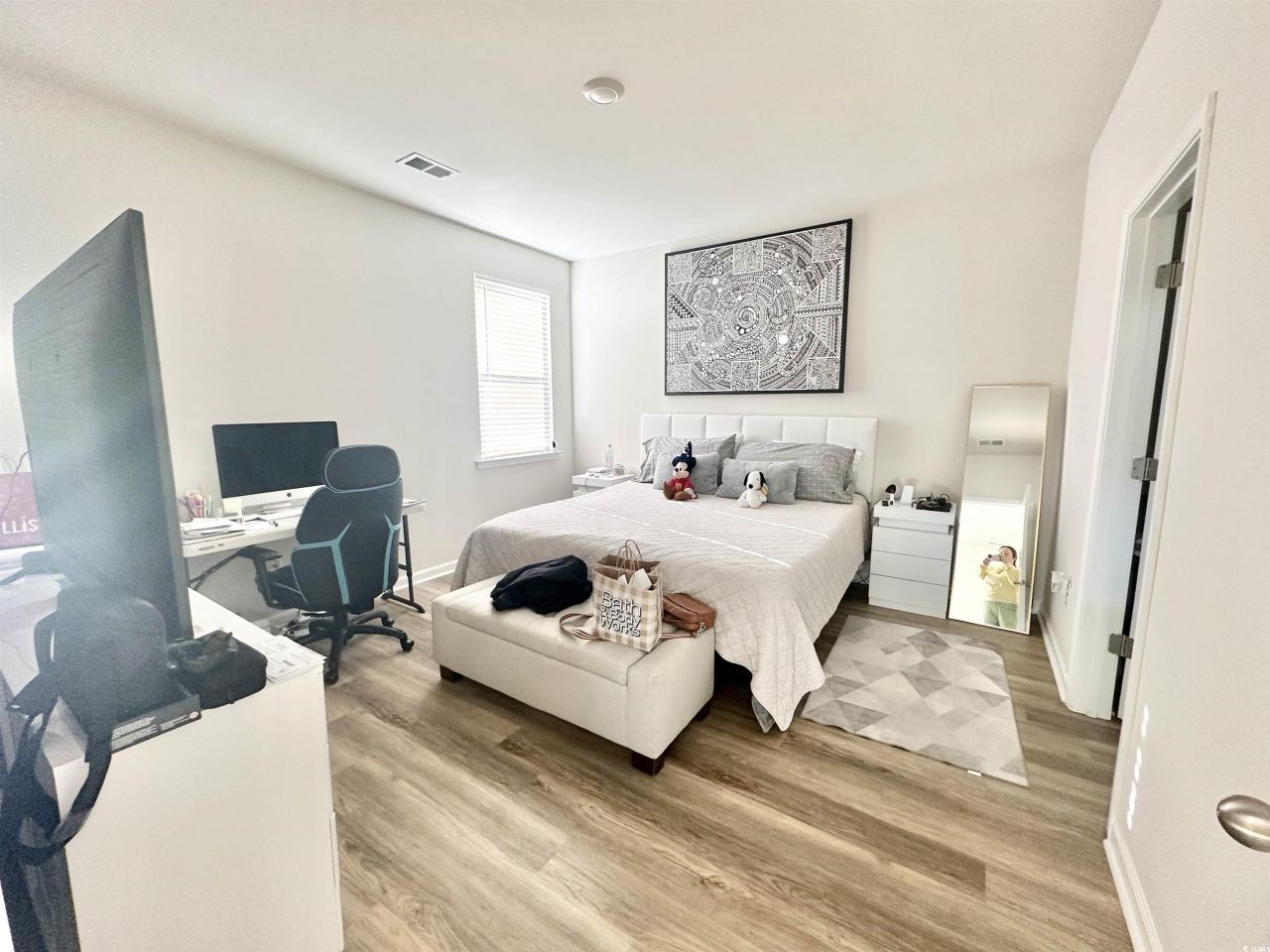 515 Meadowgrass Ct.  Photo 9