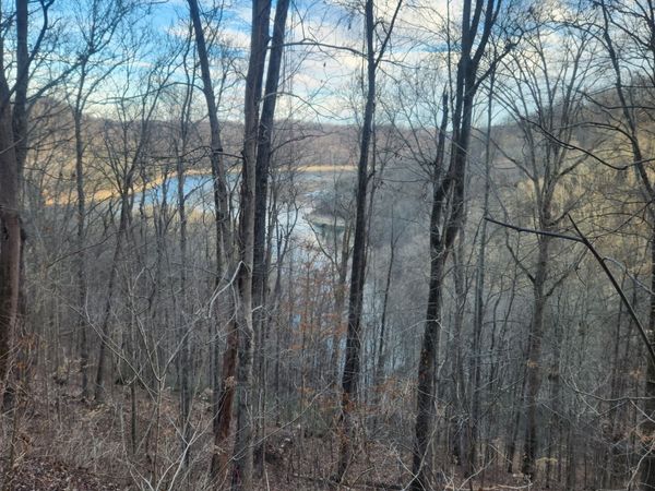 1 Antler Drive, Smithville, TN 37166