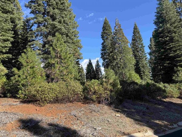 245 Fox Crest Drive, Lake Almanor, CA 96137