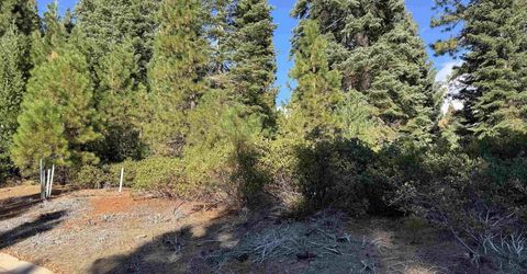 245 Fox Crest Drive, Lake Almanor, CA 96137 Photo