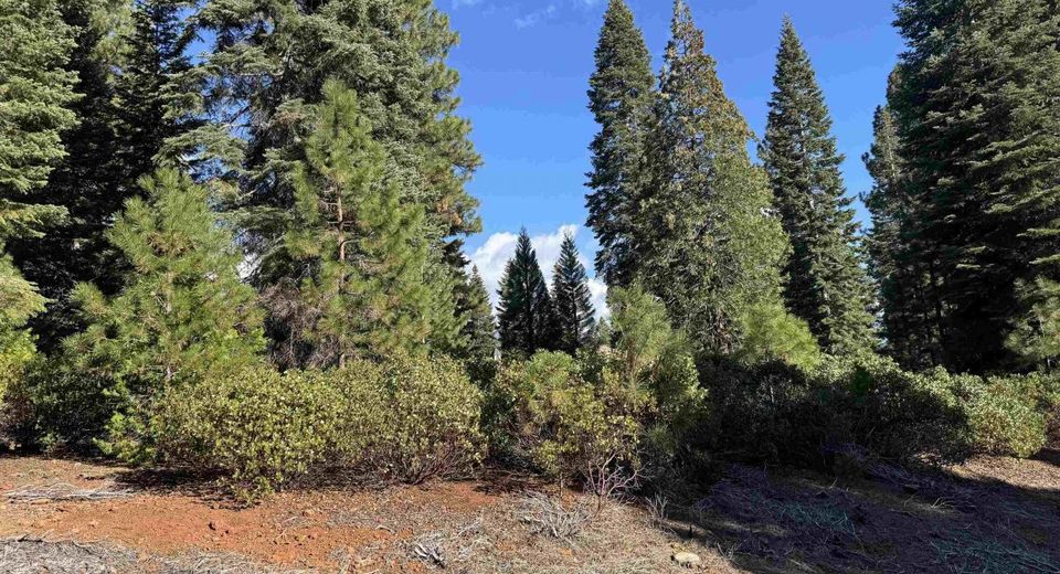 259 Fox Crest Drive, Lake Almanor, CA 96137 Photo