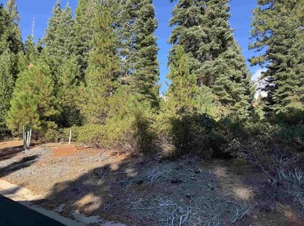 259 Fox Crest Drive, Lake Almanor, CA 96137 Photo