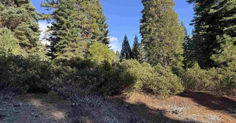 259 Fox Crest Drive, Lake Almanor, CA 96137 Photo