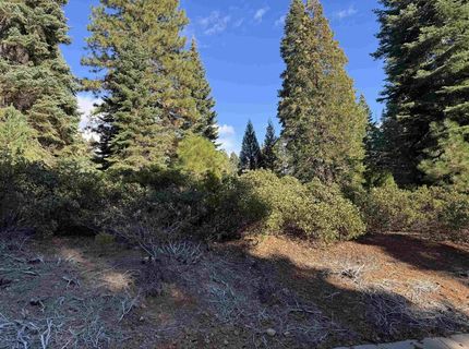 259 Fox Crest Drive, Lake Almanor, CA 96137 Photo