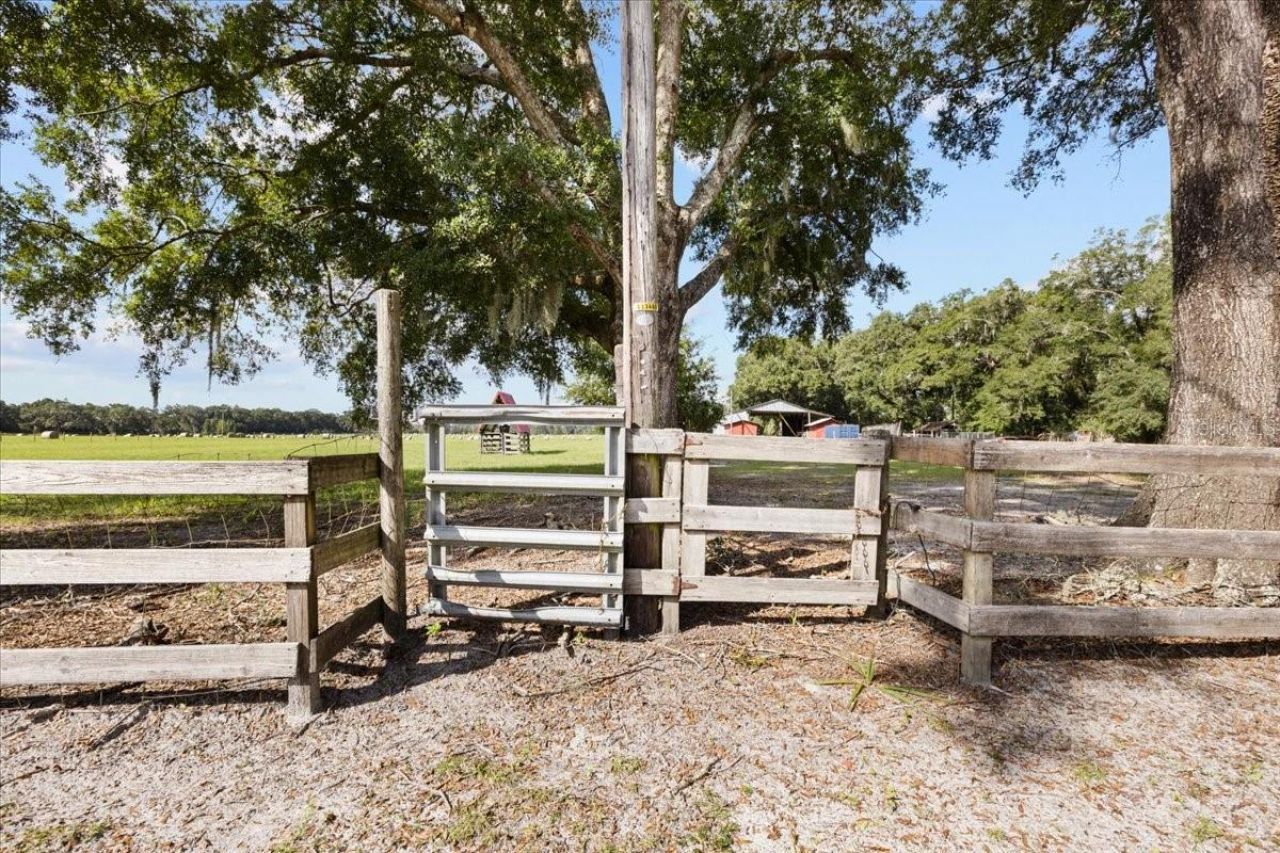 7551 NW 115th Street, Chiefland, FL 32626 Photo