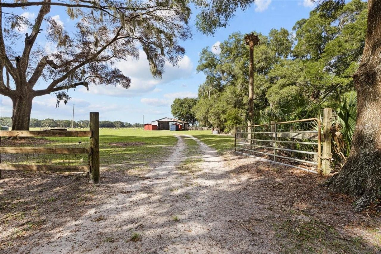 7551 NW 115th Street, Chiefland, FL 32626 Photo